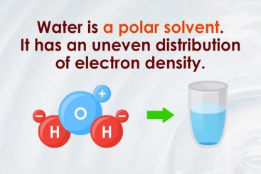 Solvent